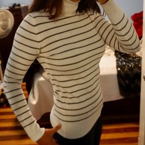 Turtle Neck Sweater